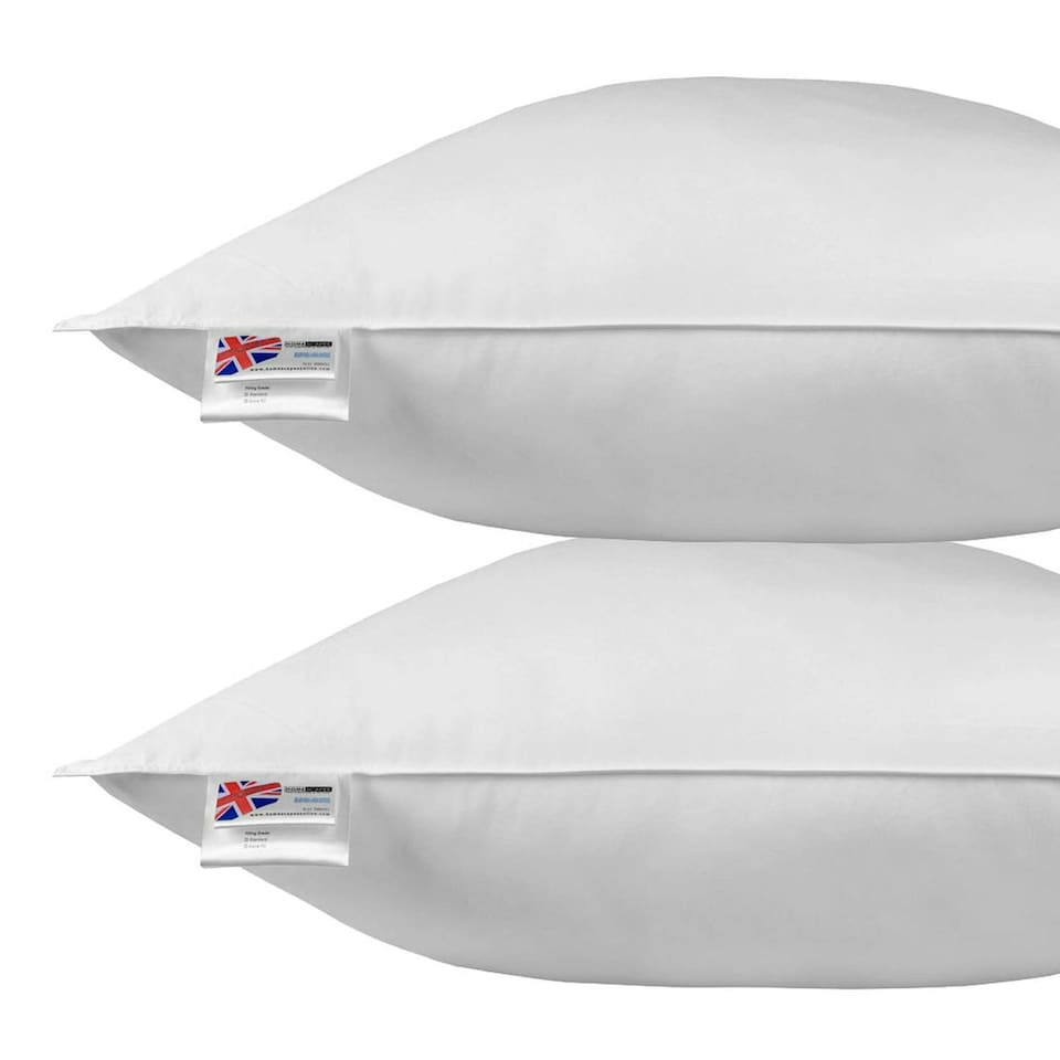 image 1 of Homescapes Goose Feather and Down Euro Continental Square Pillow Pair - 80cm x 80cm | White