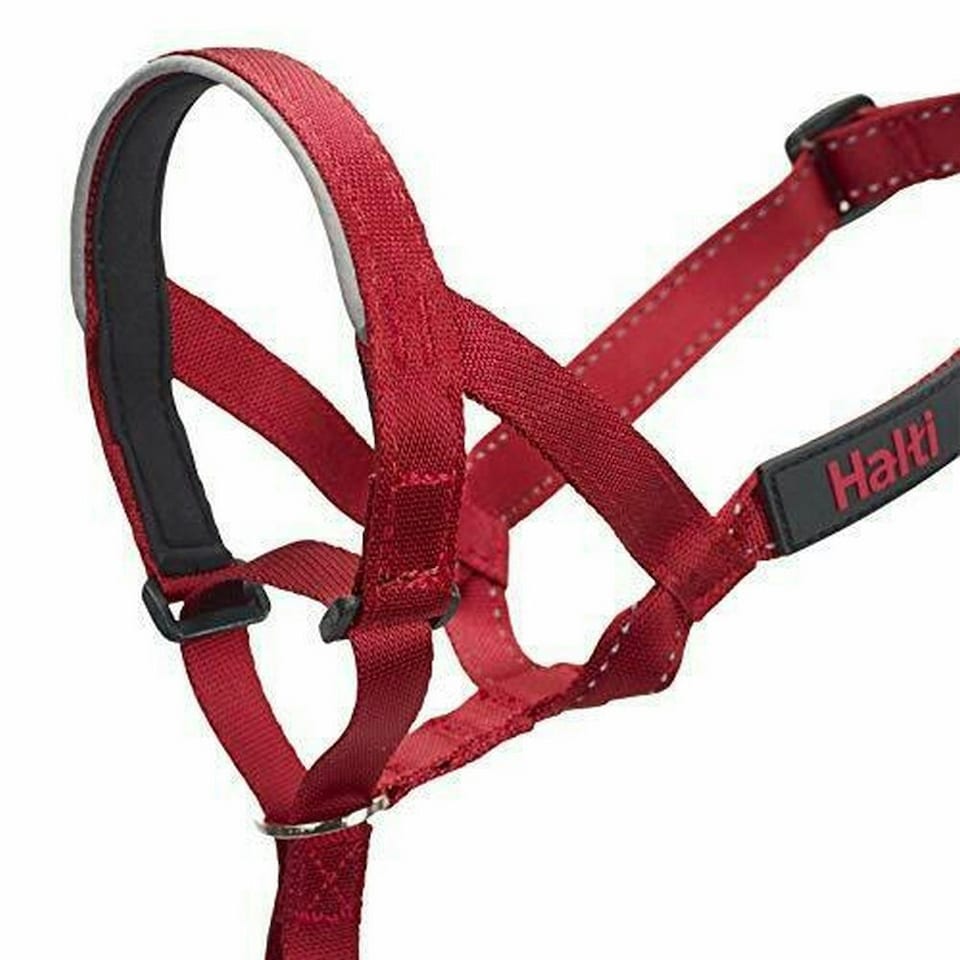 image 1 of Halti Dog Head Collar - Red - 4