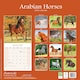 image 2 of Arabian Horses 2026 Calendar | Square Wall Calendar | Animal Gift | Plastic Free Packaging | by Avonside Publishing