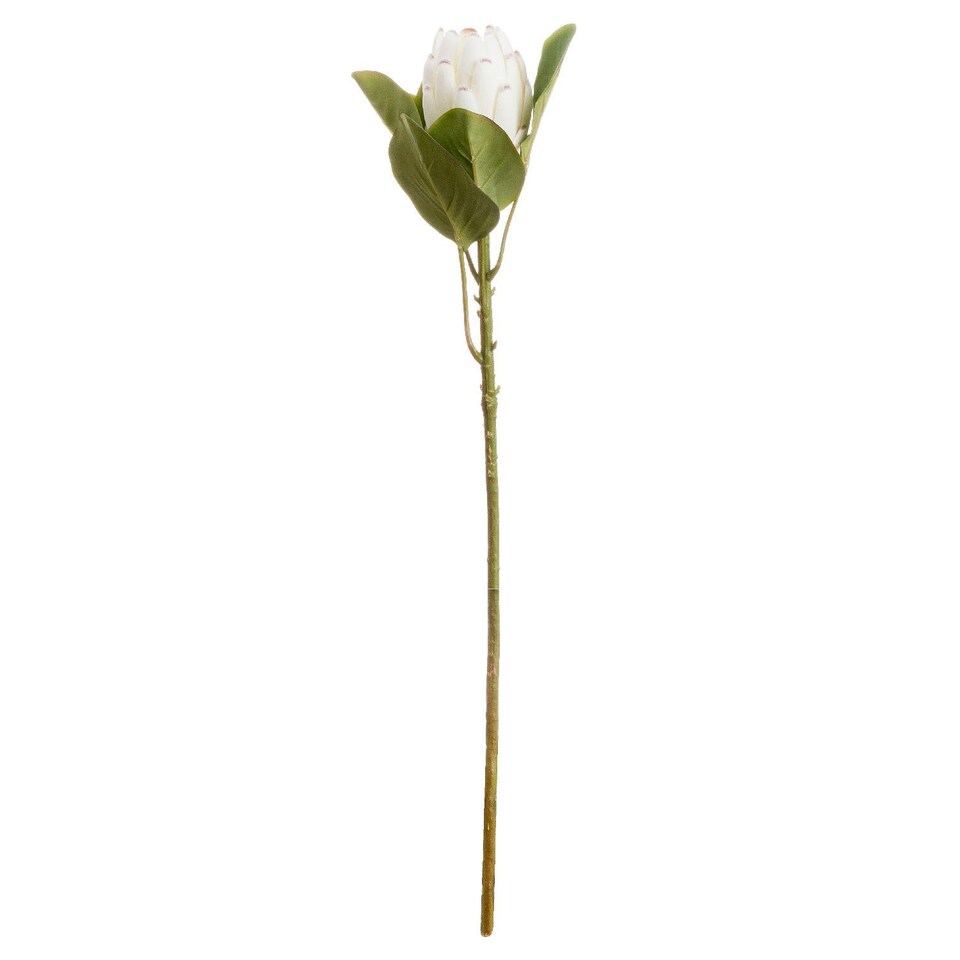 Hill Interiors Artificial Closed Protea Flower - White - One Size