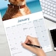 image 5 of Cavapoo 2026 Calendar | Square Wall Calendar | Dog Breed Gift | Plastic Free Packaging | by Avonside Publishing
