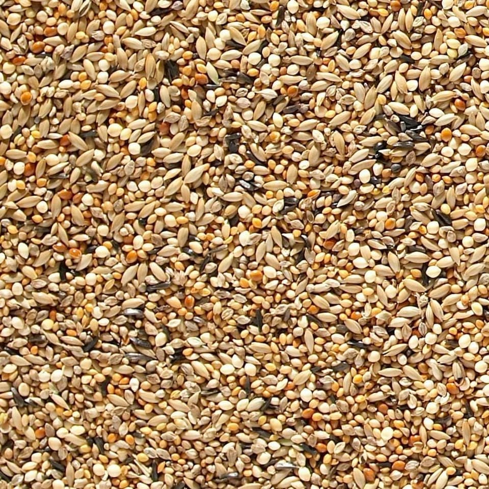 Johnston & Jeff ABZ Seed For Finches, 20 kg