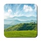 image 1 of panorama of beautiful countryside of romania (Coaster)