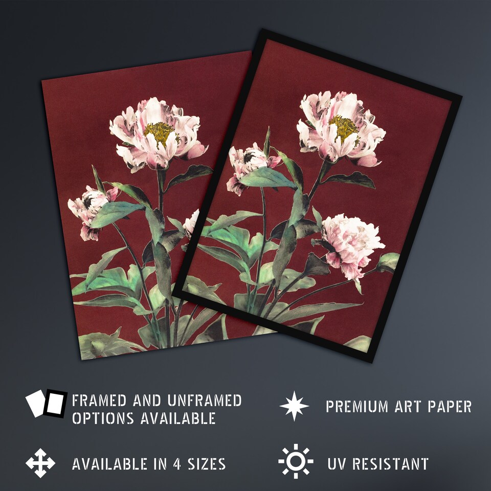 image 1 of Pink Herbaceous Peony Flower Japan Wall Art Print Ogawa Kazumasa 24x32"