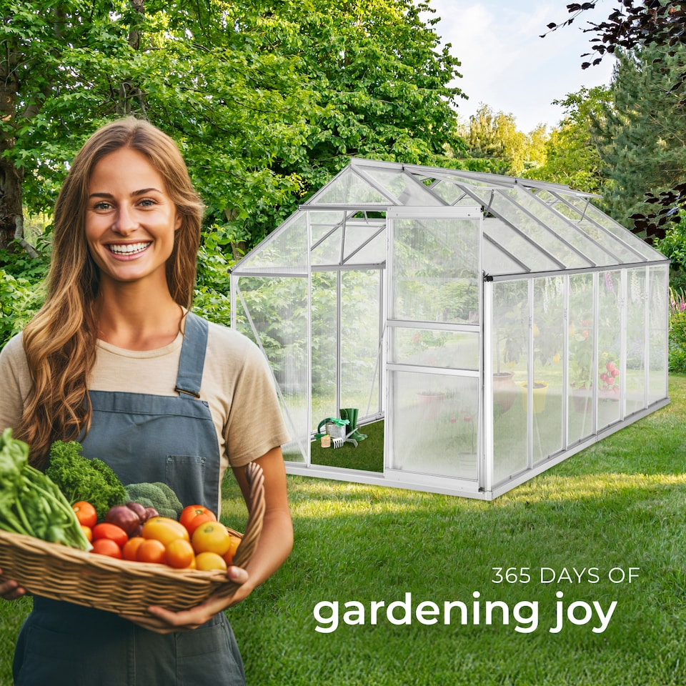 image 1 of Greenhouse with foundation - anodised aluminium, 185 x 375 x 195cm