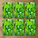 image 3 of Green leaf background abstract of nature (Placemat & Coaster Set)