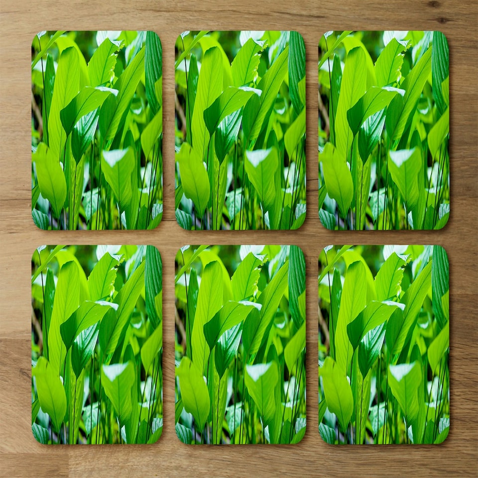 image 1 of Green leaf background abstract of nature (Placemat & Coaster Set)