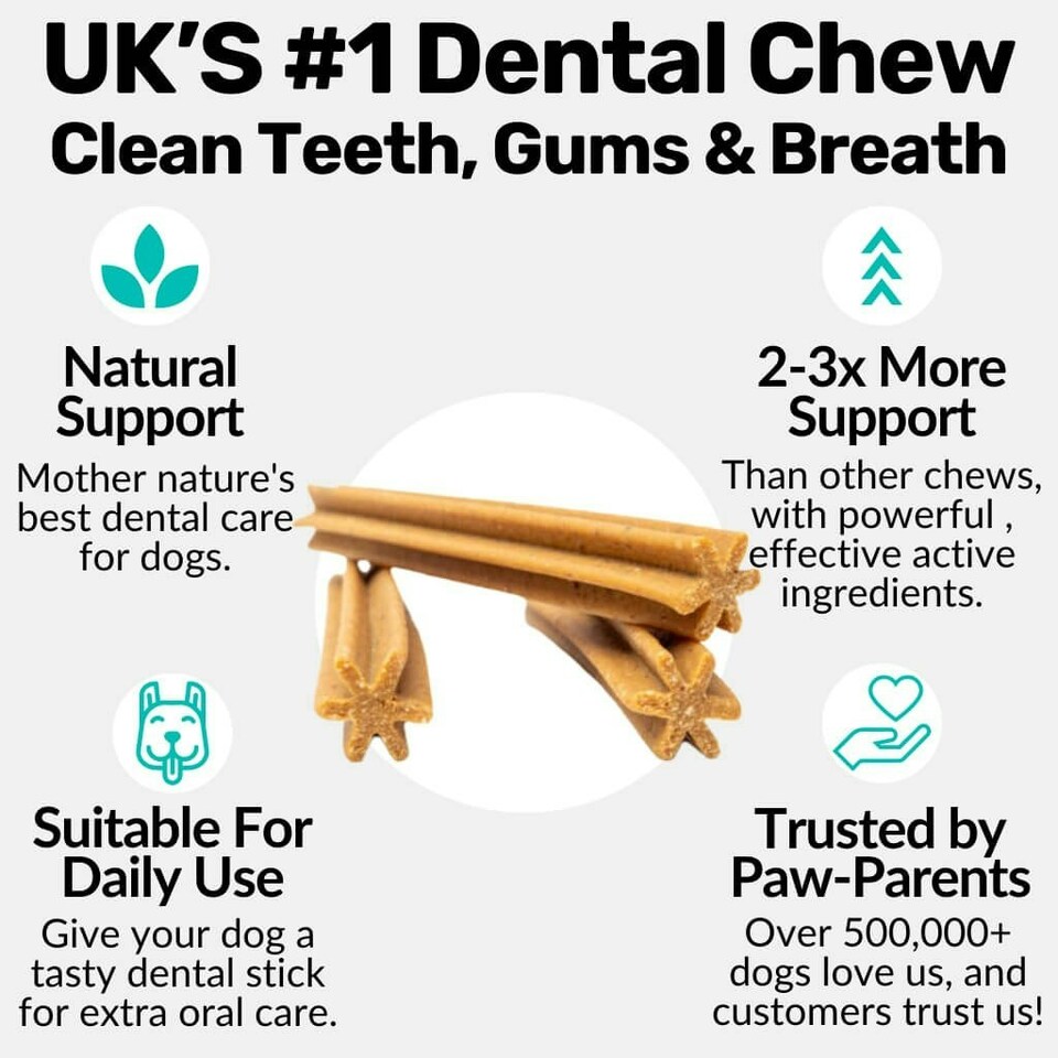 image 1 of Dental Sticks N/A