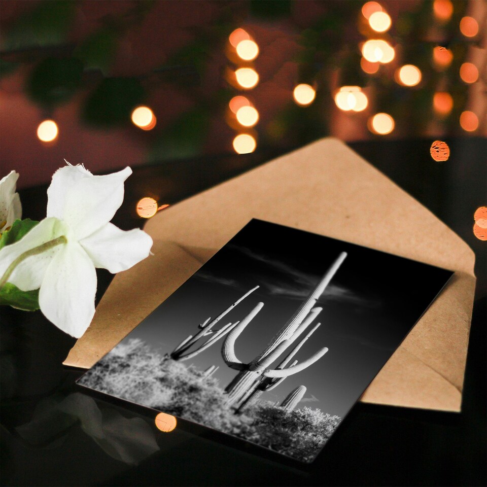 image 1 of Carol M Highsmith Art Card Saguaro Cactus Black White Photograph