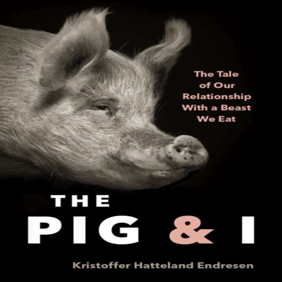 Pig & I