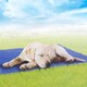 image 2 of Pet Self-Cooling Gel Mat Portable Bed