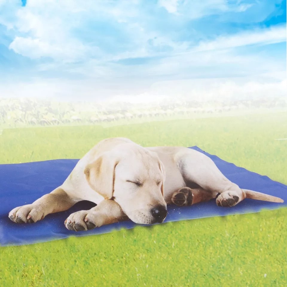 image 1 of Pet Self-Cooling Gel Mat Portable Bed