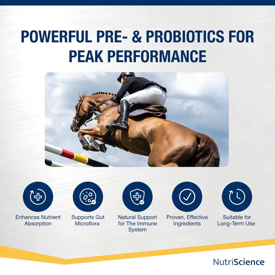 image 1 of NutriScience Horse Gut Gold Supplement Digestive Aid Probiotic Powder Ulcer Support Performance 1.2kg