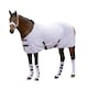 image 1 of Supreme Products Dotted Horse Fleece Rug - Lavish Lilac - 4´ 3"