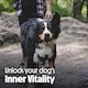 image 10 of 10 x 70g Tails.com Inner Vitality Duck Cold Pressed Rewards Dog Treats Pouches