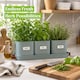 image 5 of Set of 6 Blue Indoor Herb Pots with Tray
