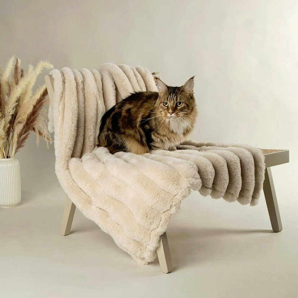 image 1 of Scruffs Aspen Blanket Faux Fur Cream 110x75cm | Cream | One Size | 1