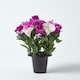 image 3 of Homescapes Set of 2 Purple, Orange & White Roses & Peonies Artificial Flowers in Grave Vases