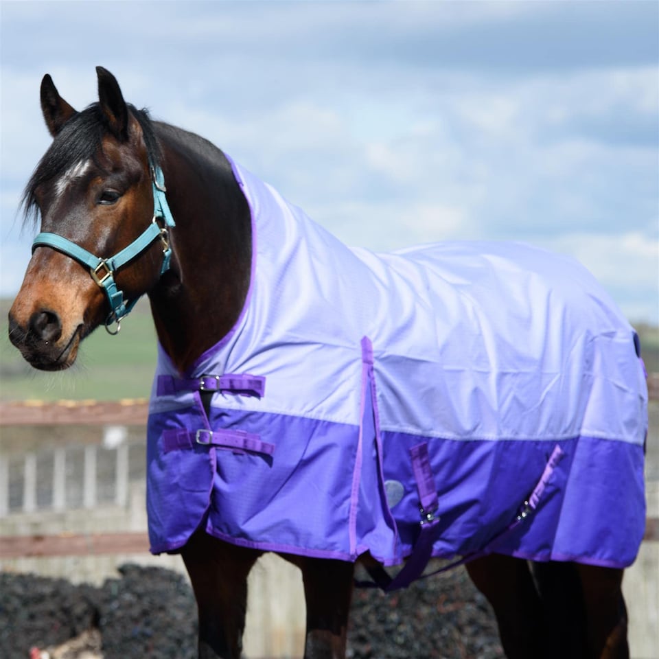 image 1 of eQuitack 600D Waterproof Horse Turnout Rug 0g No Fill Half Neck Lavender/Purple 6'9''