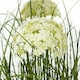 image 2 of Large Allium Plant in Pot - Plastic - L22 x W22 x H120 cm - White