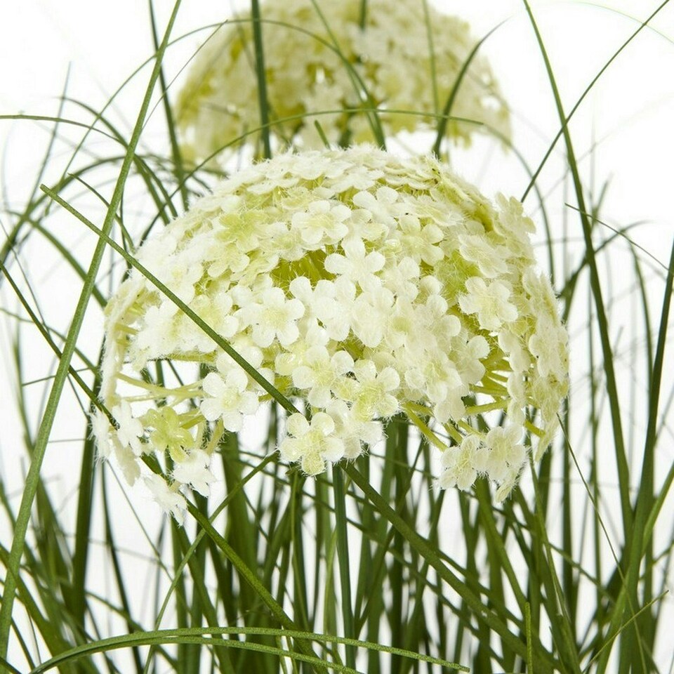 image 1 of Large Allium Plant in Pot - Plastic - L22 x W22 x H120 cm - White