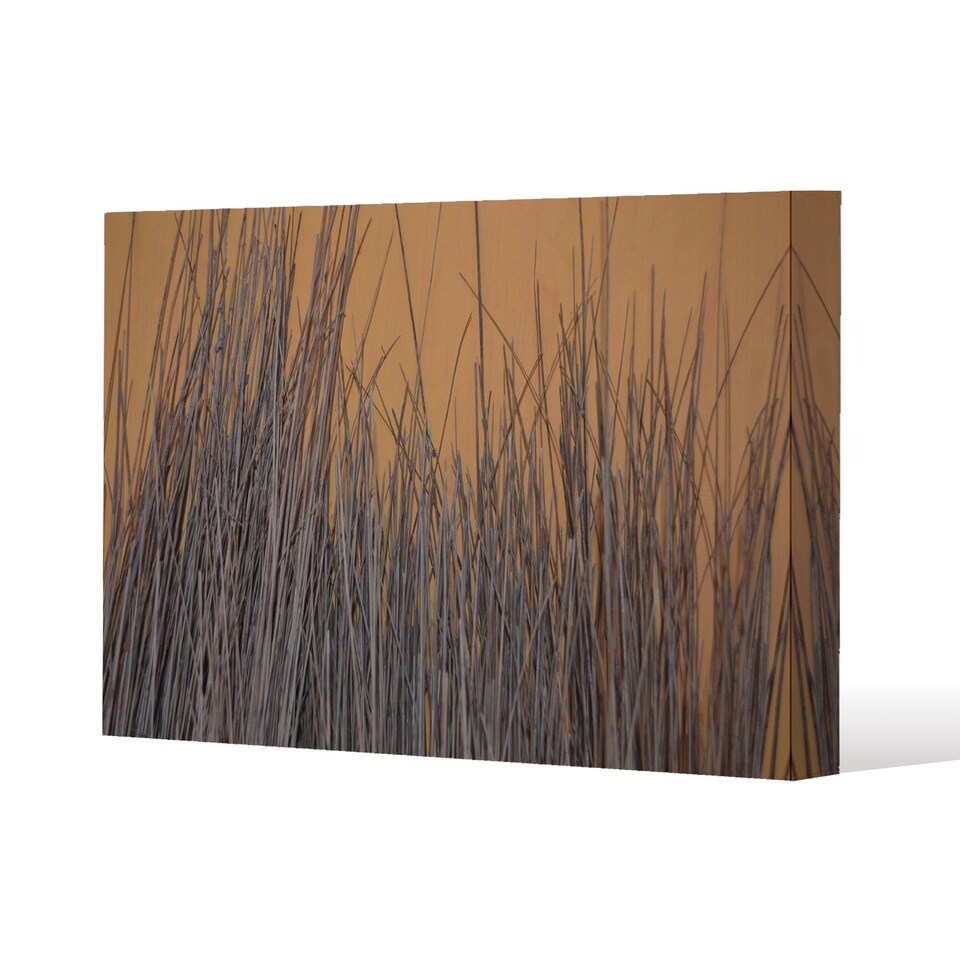 broom stick on the wall (Canvas Print) / 152 x 101 x 4cm | Multi
