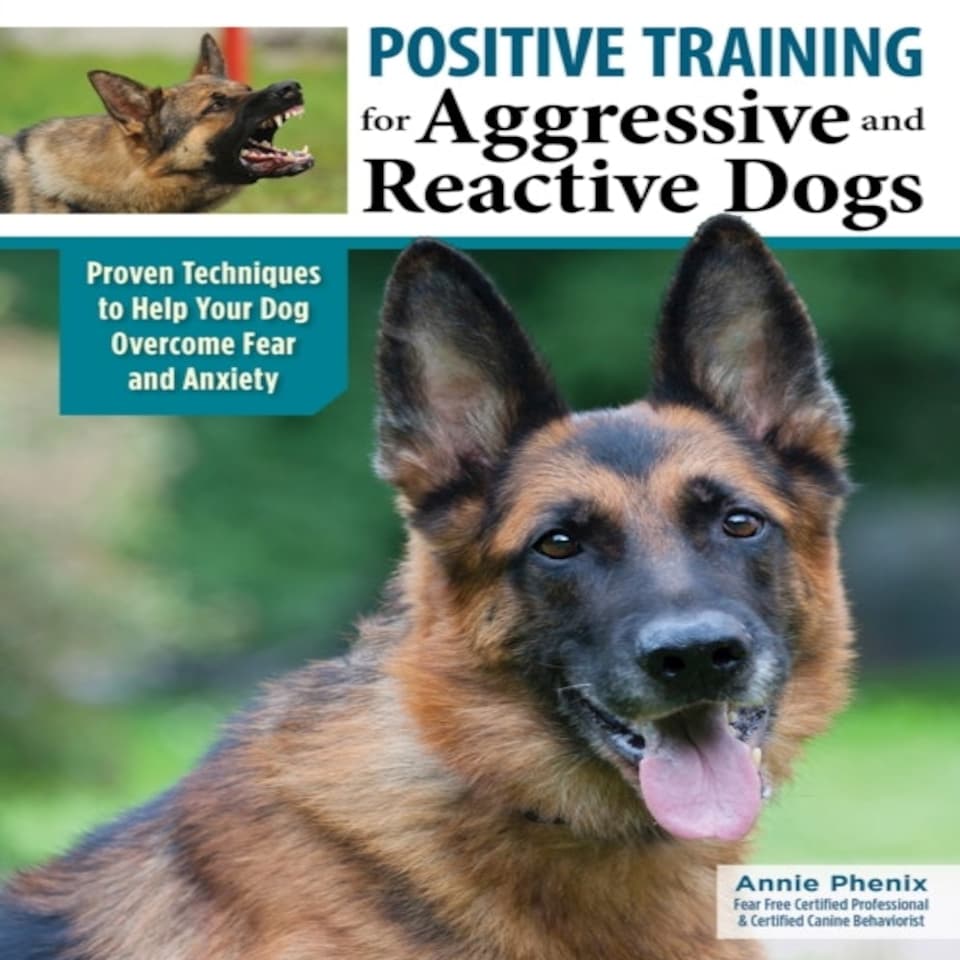 Positive Training For Aggressive Dogs