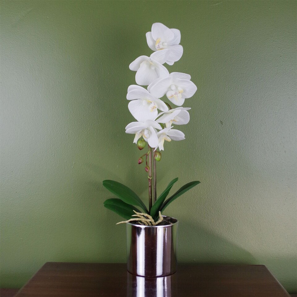 image 1 of Artificial Orchid White with Silver Pot 46cm Botanik