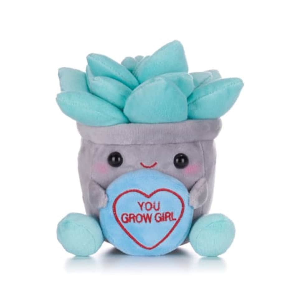 7"/18cm Love Hearts Plant - You Grow Girl