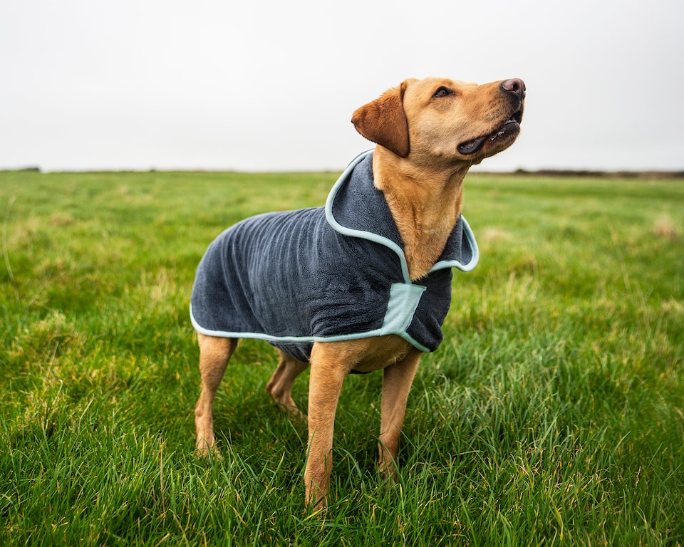 image 1 of Henry Wag Grey Microfibre Drying Coat For Use After Bath Time Or A Muddy Walk, Size X-Large 65cm | Grey | Grey | XL | 1