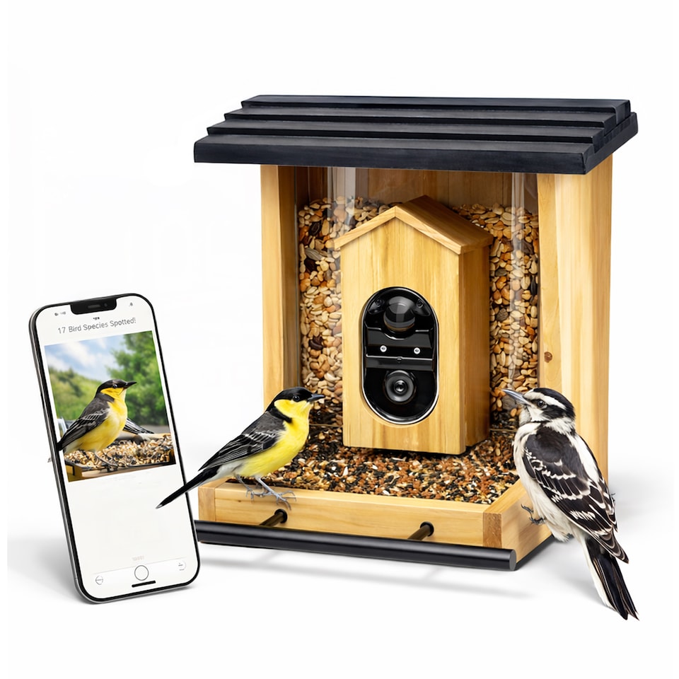 image 1 of JSH Smart Bird Feeder Camera with AI Species Identifier 1080p Video with Night Vision Solar Panel Livestream Feeding Table