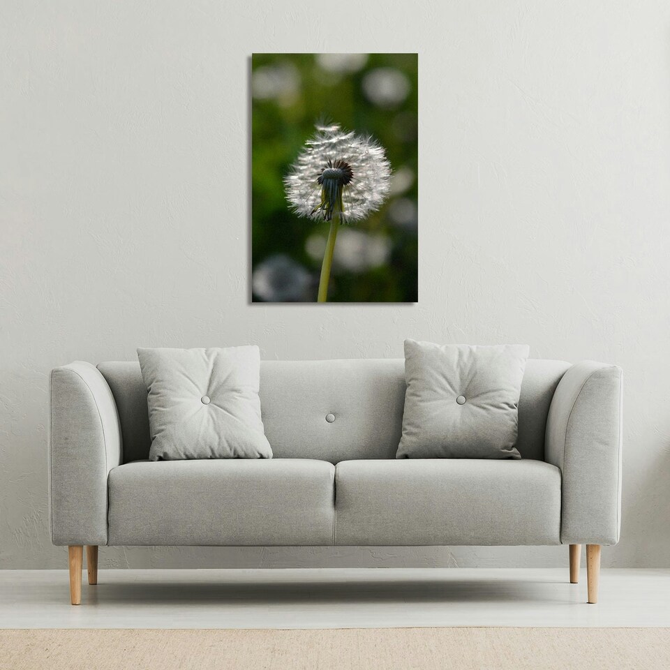 image 1 of fluffy flower (Canvas Print) 61 x 41 x 4cm