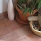 image 3 of HG Terracotta Clean & Shine 1L (product 86)