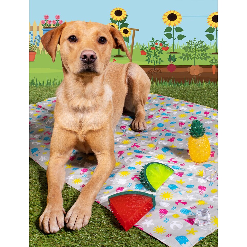 image 1 of Lime Summer Cooling Pet Toy - Dog Puppy Teething Chew Outdoor Play Freezable Durable Rubber Hydrating Teether Frozen