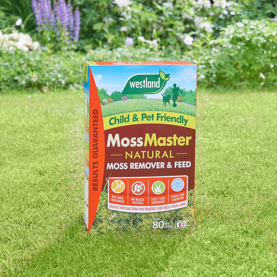 image 1 of Westland Moss Master Natural Moss Remover and Slow-Release Lawn Feed 400 sqm