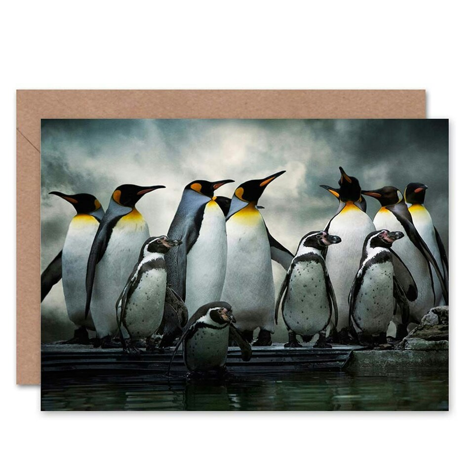 image 1 of King Penguin Huddle Birds Antarctica Photograph Art Card