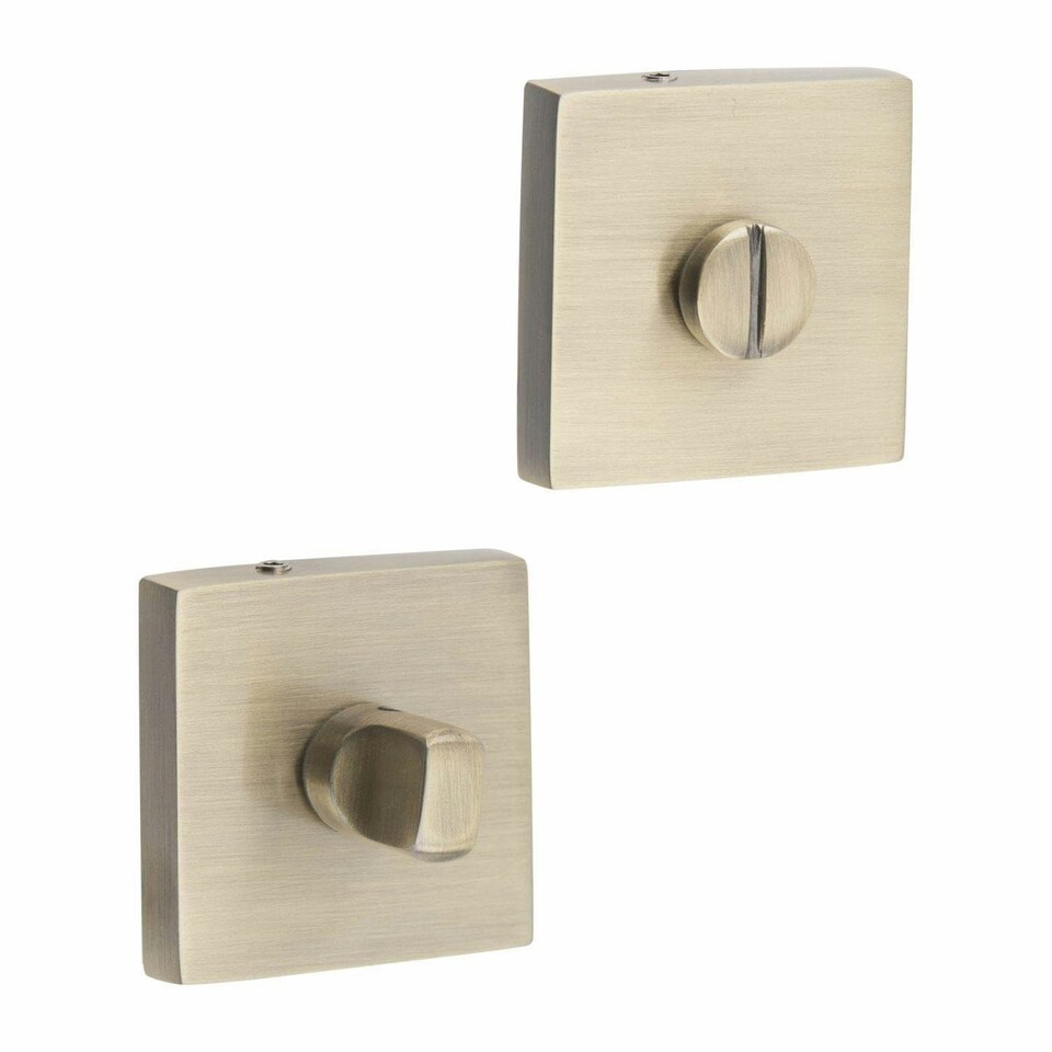 Golden Grace Lime Design Thumbturn Coin Release on Square on Rose Antique Brass Finish Gold