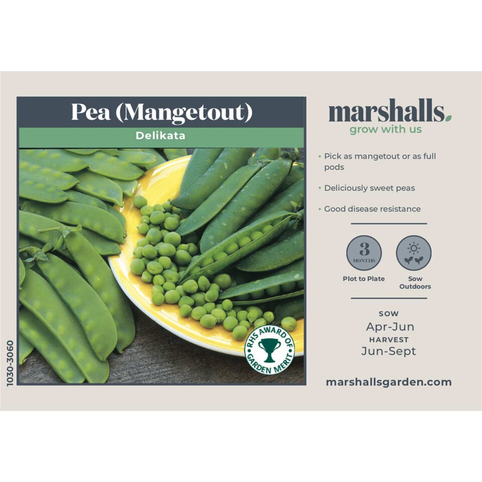 image 1 of Marshalls Garden Mangetout Pea Seeds 'Delikata' 200 seeds