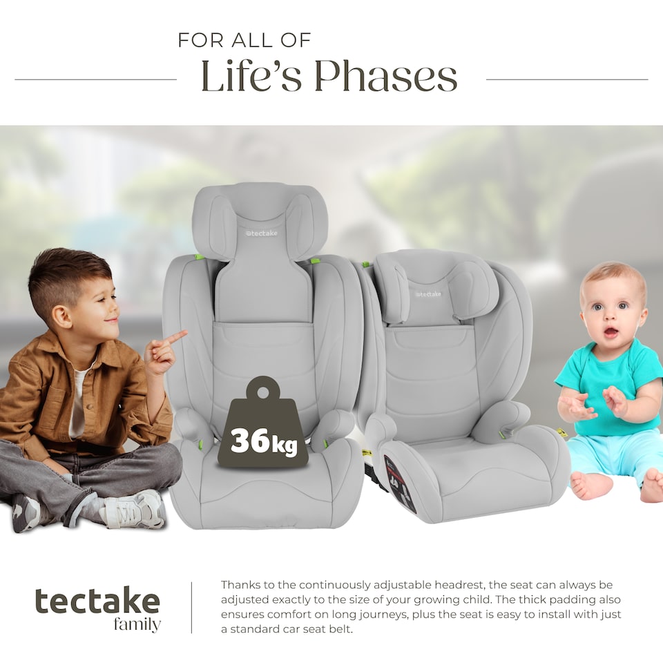image 1 of Car Seat Levi - ECE R129-03, i-Size and ISOFIX approved, washable cover | Grey | light grey | 45 x 48 x 81 cm | 1