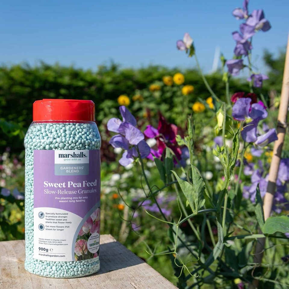 image 1 of Marshalls Garden Concentrated Slow-Release Sweet Pea Feed Granules 900g | Cream | Tub