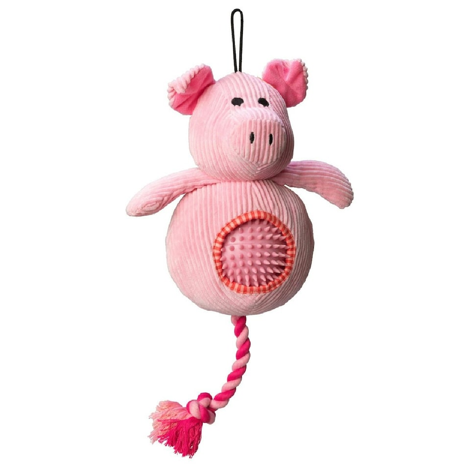 House Of Paws Pig Cord Dog Toy With Spiky Ball - Pink - One Size