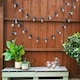image 2 of ValueLights Festoon 10 Set Black Outdoor String Festoon Light