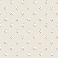 Sample of Ditsy Posy Wallpaper in Taupe on Cream | Cream | Taupe on Cream