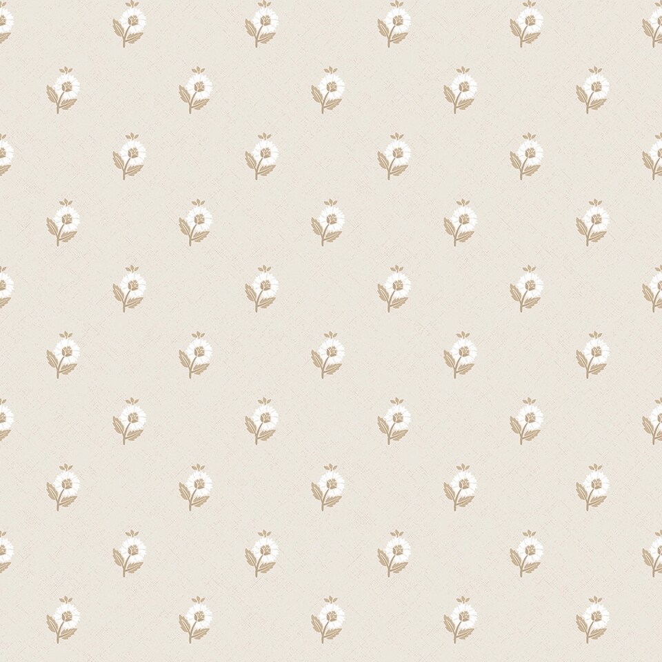 Sample of Ditsy Posy Wallpaper in Taupe on Cream | Cream | Taupe on Cream