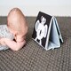 image 10 of Taf Toys Kimmy Koala Tummy Time Book
