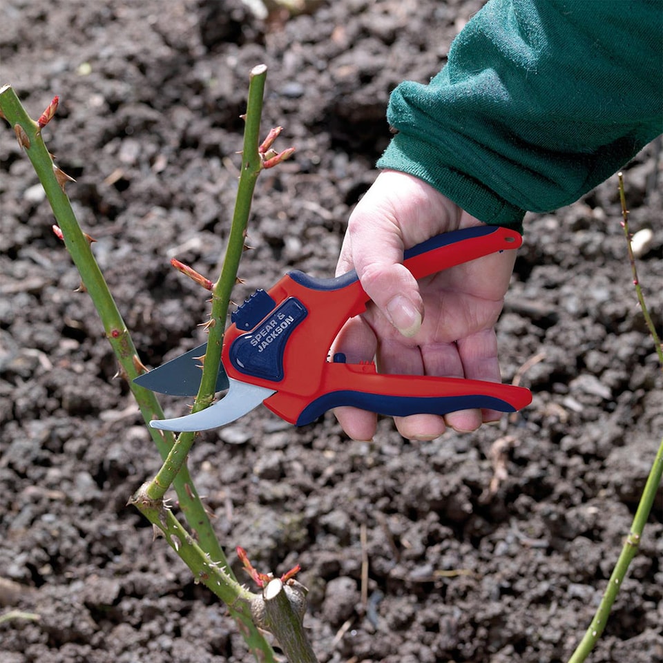 image 1 of Spear & Jackson Bypass Secateurs, Medium Comfort Grips, Razorsharp Garden Tool