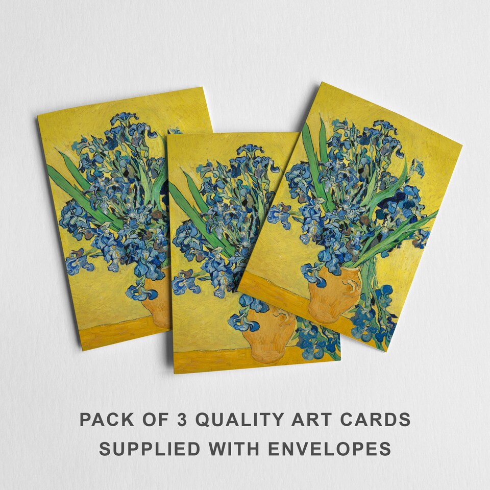 image 1 of Van Gogh Irises Greeting Card Impressionist Floral Any Occasion Set of 3 Blank