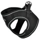 image 9 of Bunty Voyage Harness Red | S