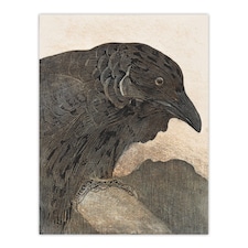 Old Crow Bird Painting Vintage Wall Art Print van Hoytema 24x32"