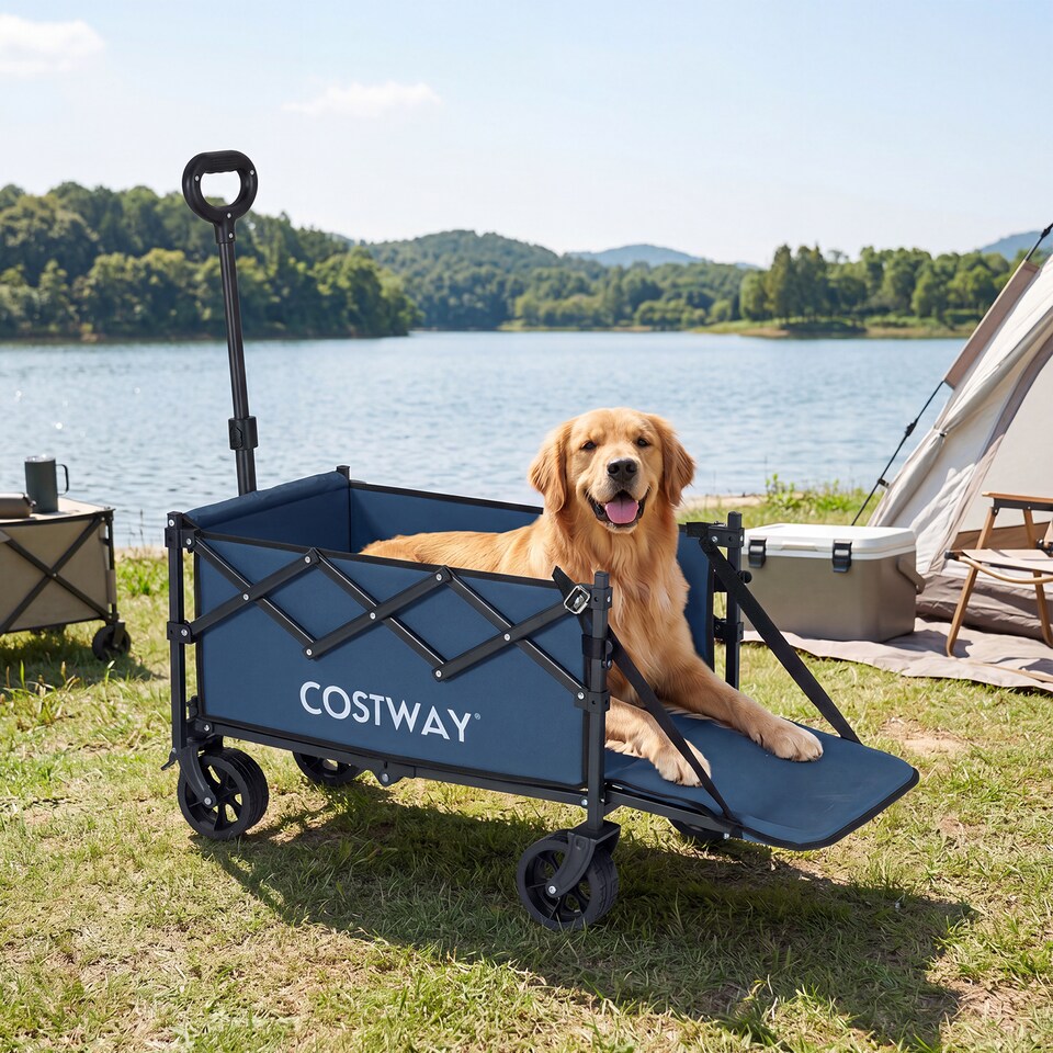 image 1 of Foldable Transport Trolley 63-92L with All-Terrain Wheels